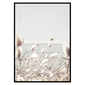 Poster Gallerix Bunny Tails