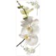 Väggdekor RoomMates White Orchid