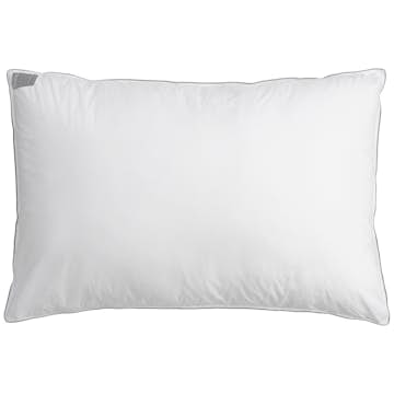 Hotellkudde Borganäs of Sweden