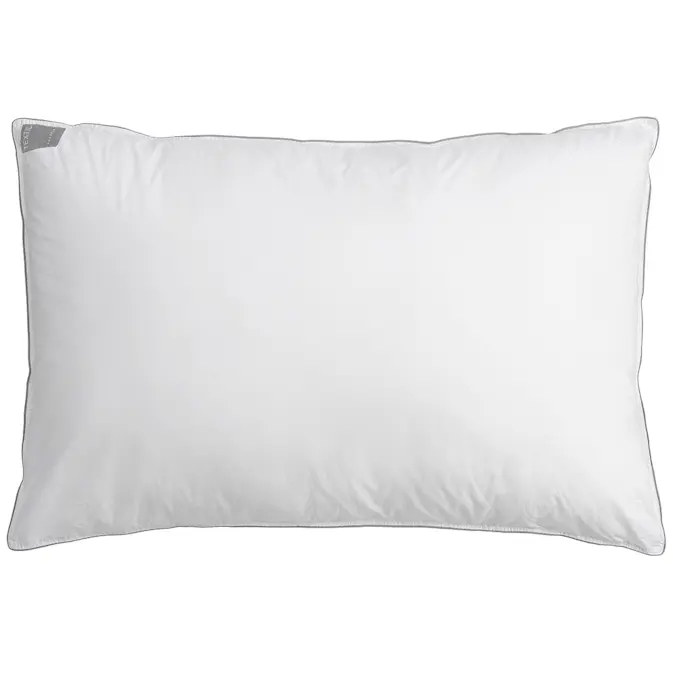 Hotellkudde Borganäs of Sweden