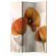 Rumsavdelare Skärmvägg Arkiio Poppies Vintage 135x172 cm