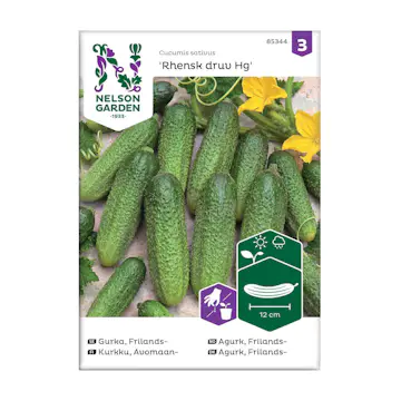 Frö Frilandsgurka Nelson Garden Rhensk Druv