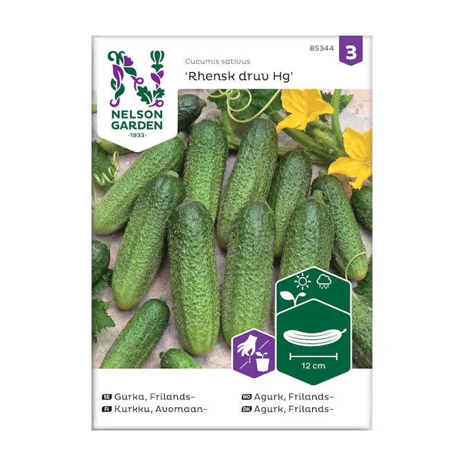 Frö Frilandsgurka Nelson Garden Rhensk Druv