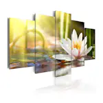 Tavla Arkiio Sunny Lotus