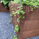 Odlingslåda Flexigarden Cortenplåt 2 mm 800x1200x600 mm