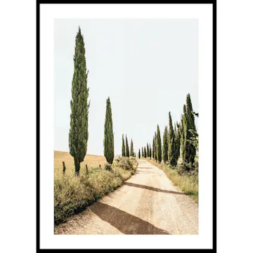 Poster Gallerix Tuscan Cypress Lane