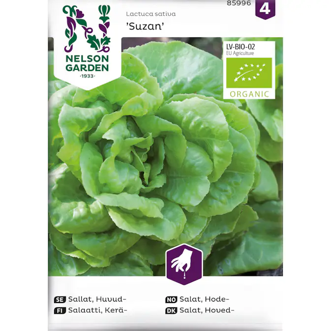 Frö Nelson Garden Sallat Suzan Organic Huvudsallat