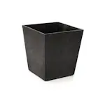 Blomkruka Recal Sonata