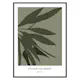Poster Gallerix Botanical Graphic No1