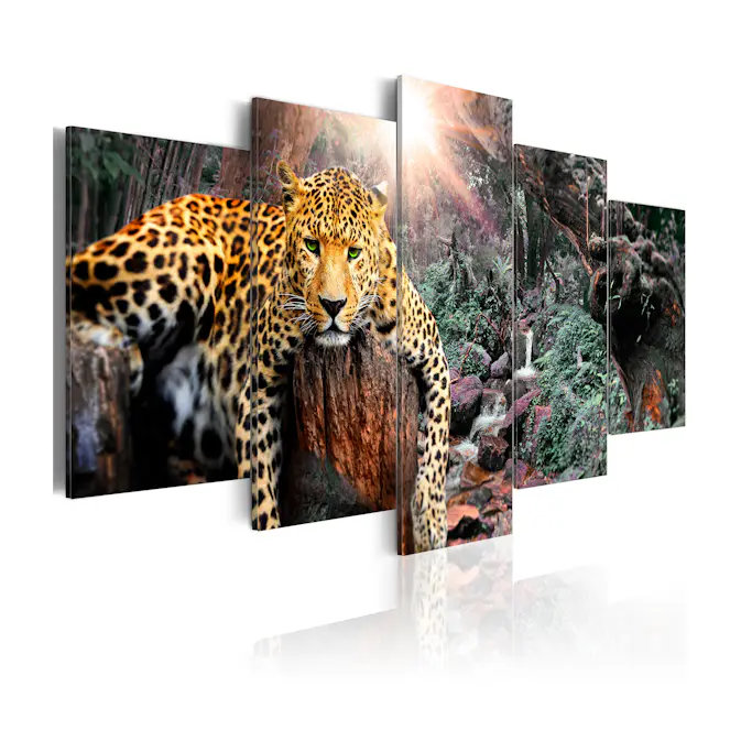 Tavla Arkiio Leopard Relaxation