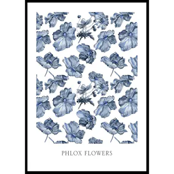 Poster Gallerix Phlox Flowers