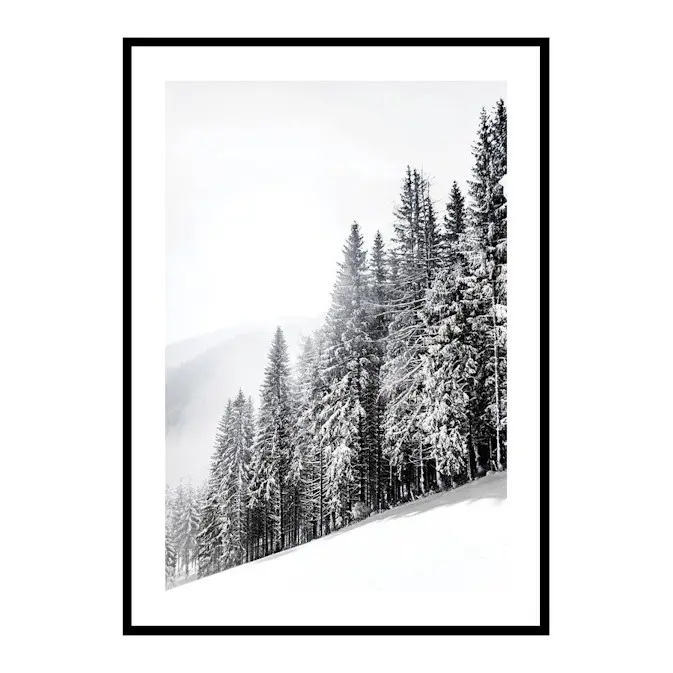 Poster Gallerix Snow Covered Trees