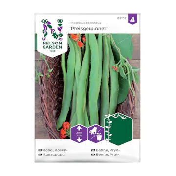 Frö Rosenböna Nelson Garden Preisgewinner