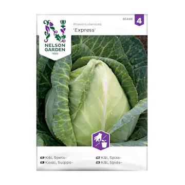 Frö Spetskål Nelson Garden Express