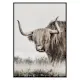 Poster Gallerix Highland Cattle