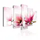 Tavla Arkiio Magnolias Pink Flowers