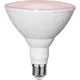 LED-lampa Star Trading E27 PAR38 Plant Light Röd
