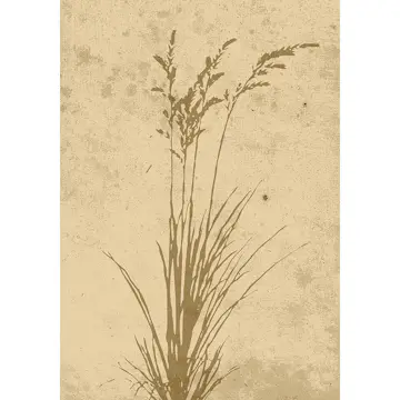 Posters Venture Home Plant Art Beige