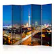 Rumsavdelare Skärmvägg Arkiio Berlin by Night II 225x172 cm
