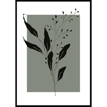 Poster Gallerix Botanical Sketch No1