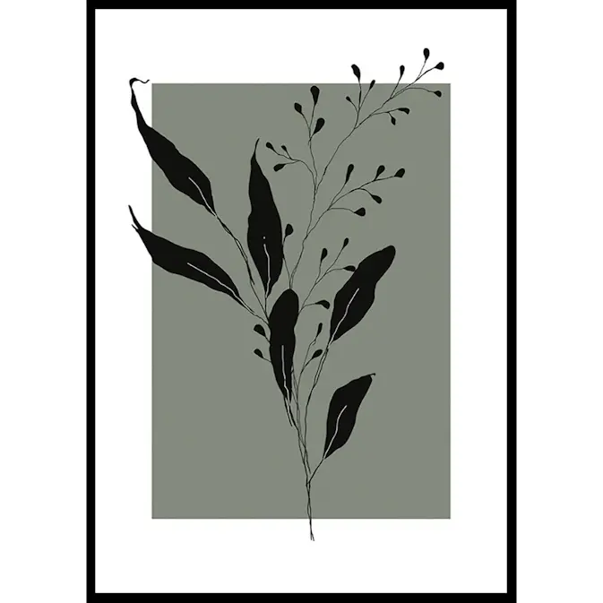 Poster Gallerix Botanical Sketch No1