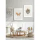 Poster Gallerix Brown Butterfly