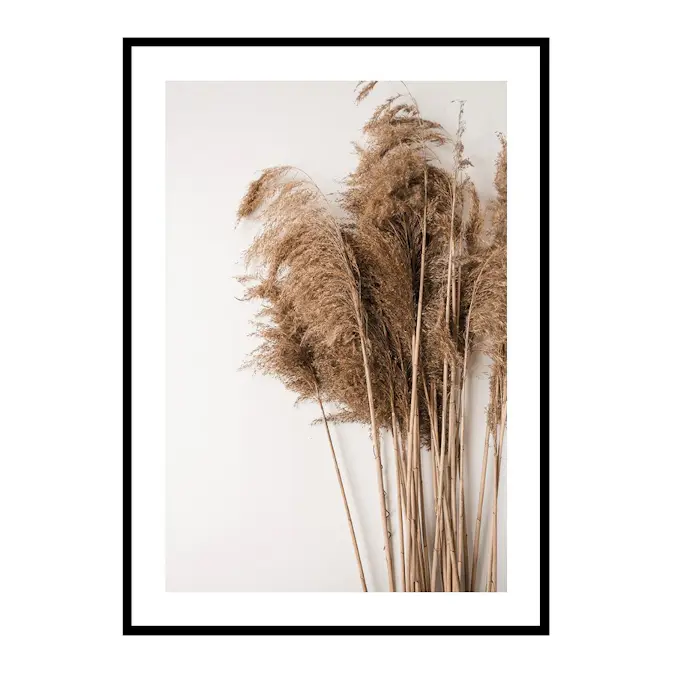 Poster Gallerix Dried Bouquet No3