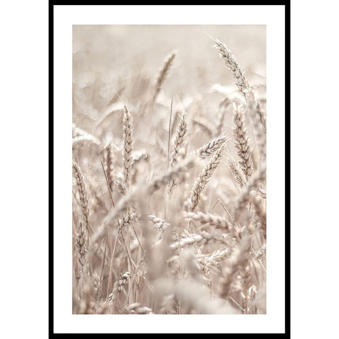 Poster Gallerix Wheat Accumulation