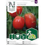Frö Nelson Garden Tomat Rio Grande Busktomat