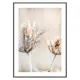 Poster Gallerix Dried Plants No1