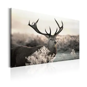 Tavla Arkiio Powerful Horns