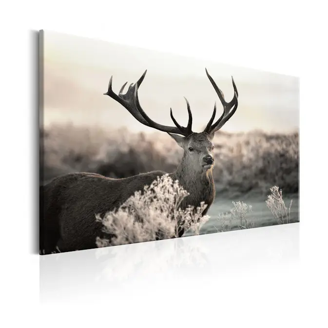 Tavla Arkiio Powerful Horns