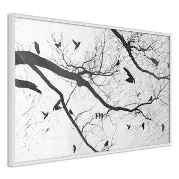 Poster Artgeist Affisch Bird Meeting