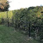 Tilläggsmodul Hortus till Panelstängsel med Deko X Svart