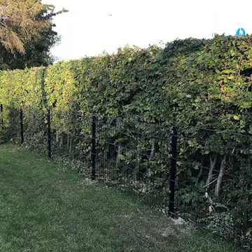 Panelstängsel Hortus med Deko X Svart