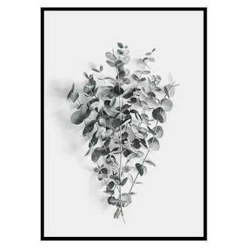Poster Gallerix Eucalyptus No5