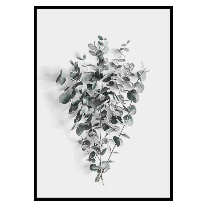 Poster Gallerix Eucalyptus No5