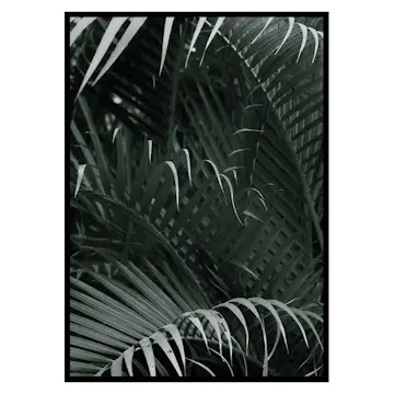 Poster Gallerix Palm Leaf No1