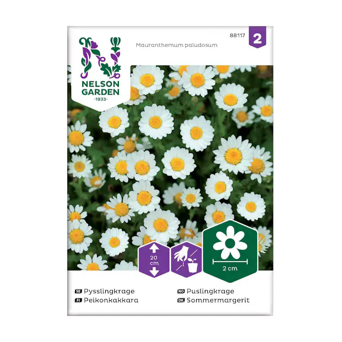 Frö Pysslingkrage Nelson Garden Vit