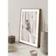 Poster Gallerix Tree Sparrow