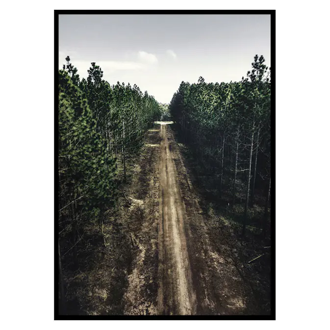 Poster Gallerix Muddy Road No1