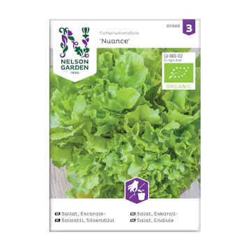 Frö Escarolesallat Nelson Garden Nuance Organic