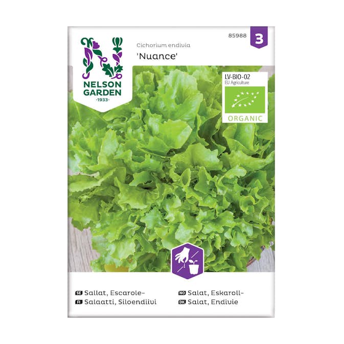 Frö Escarolesallat Nelson Garden Nuance Organic