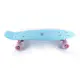 Skateboard Sandbar Cruiser