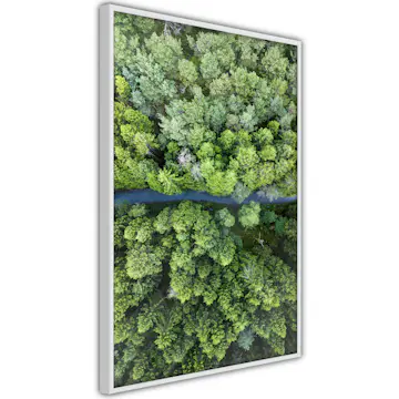 Poster Artgeist Affisch Road Through Forest