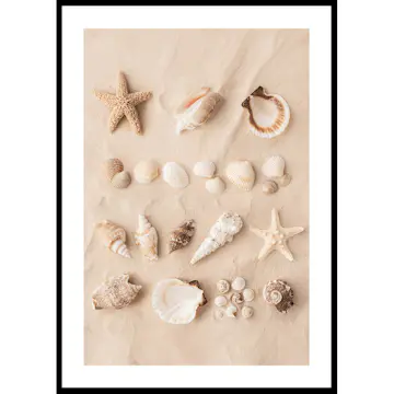 Poster Gallerix Coastal Shells