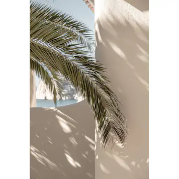 Posters Venture Home Palmleaf Beige