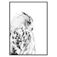 Poster Gallerix Snow Owl