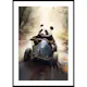 Poster Gallerix Panda Race Driver