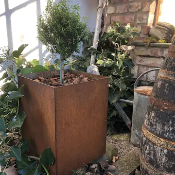 Ytterkruka Flexigarden Corten